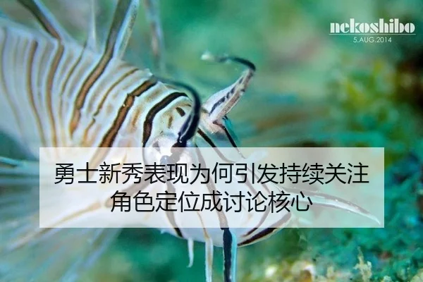 勇士新秀表现为何引发持续关注 角色定位成讨论核心
